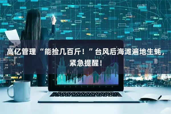 高亿管理 “能捡几百斤！”台风后海滩遍地生蚝，紧急提醒！